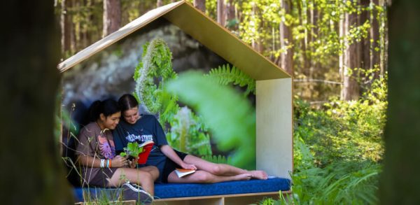 Book Nook 6-Bay