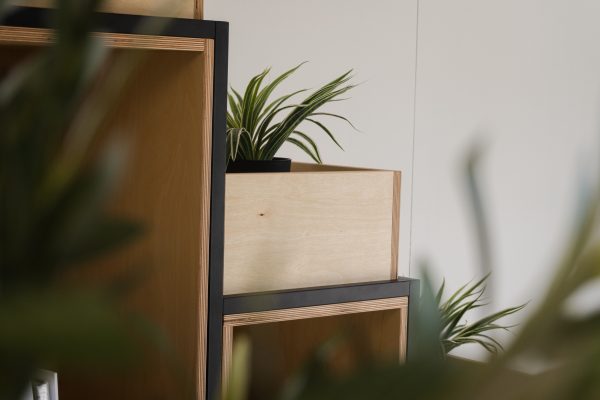Plant Storage