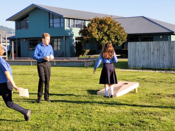 Cornhole Set - Image 4