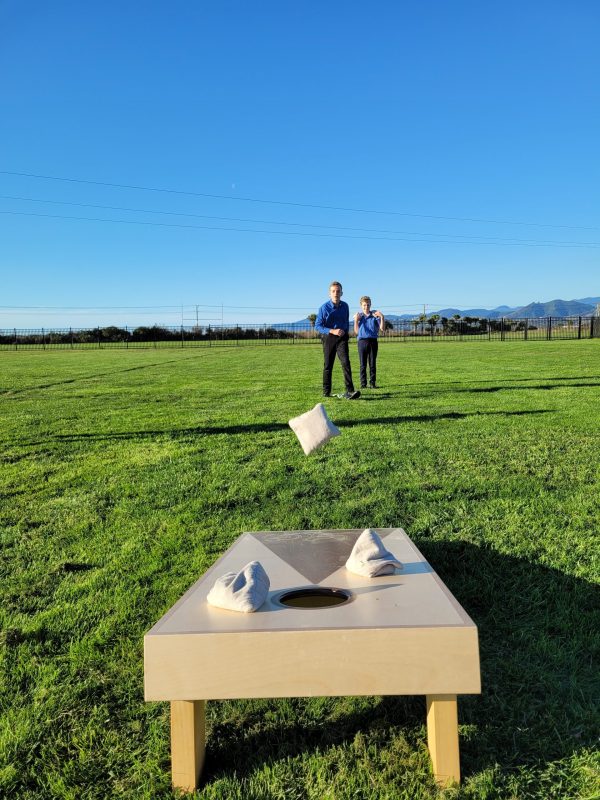 Cornhole Set - Image 7