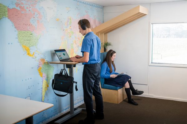 Rise up standing adjustable birch school desk