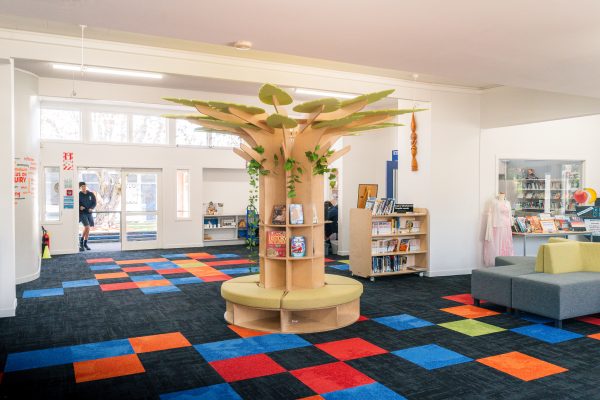 Takapuna Normal intermediate acoustic birch plywood tree by LSG