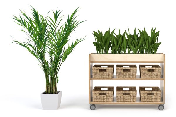 Storage Shelf Planter Station - Image 2