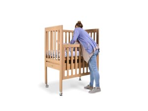 Backsaver V2 cot with ladie web