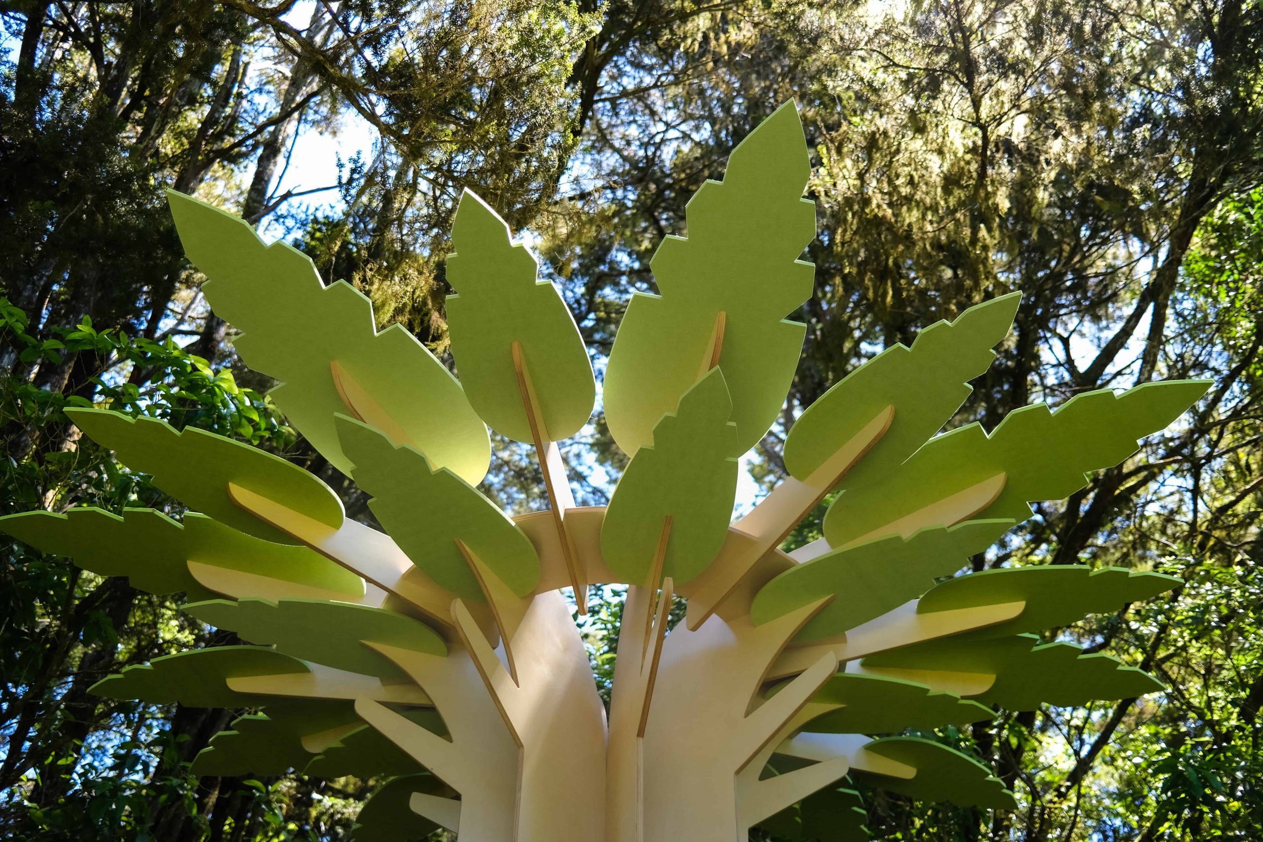 Acoustic Learning Tree in forest (1)