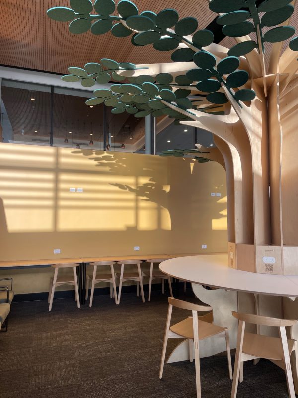 Treedom Model 3 - Image 8
