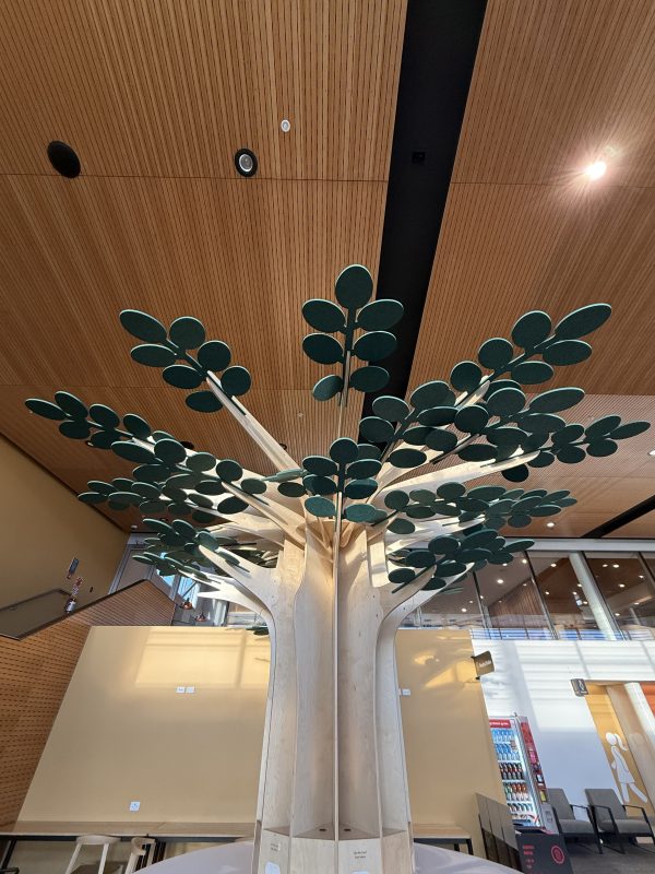 Treedom Model 3 - Image 9