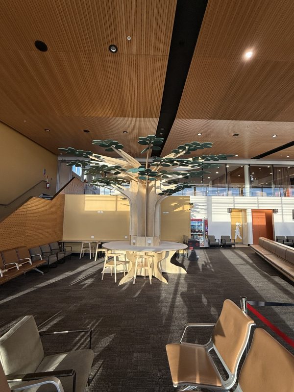 Treedom Model 3 - Image 10