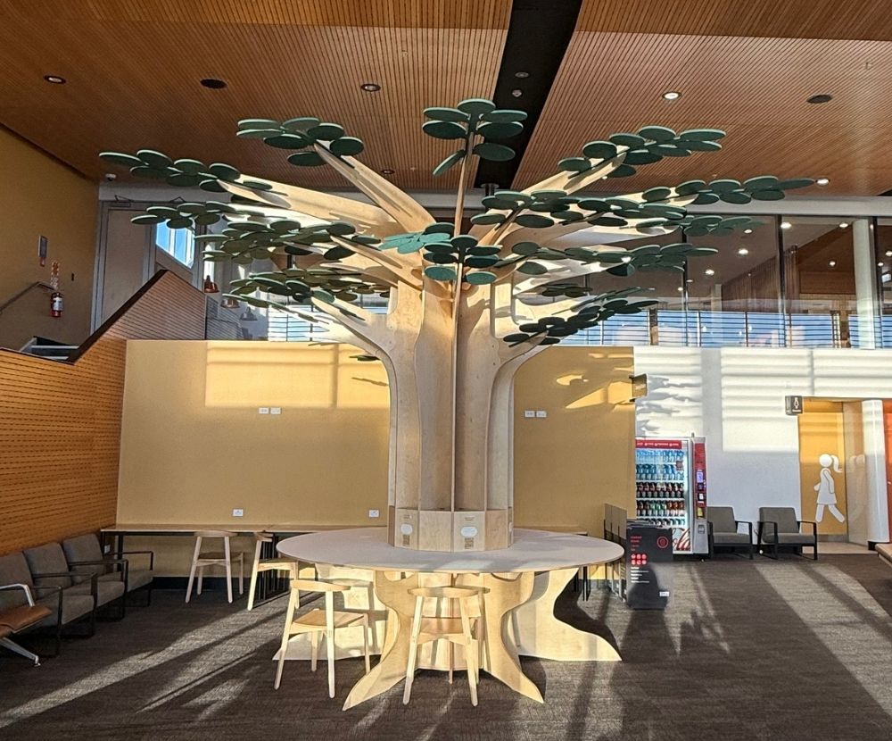 treedom-model-2-queenstown-airport